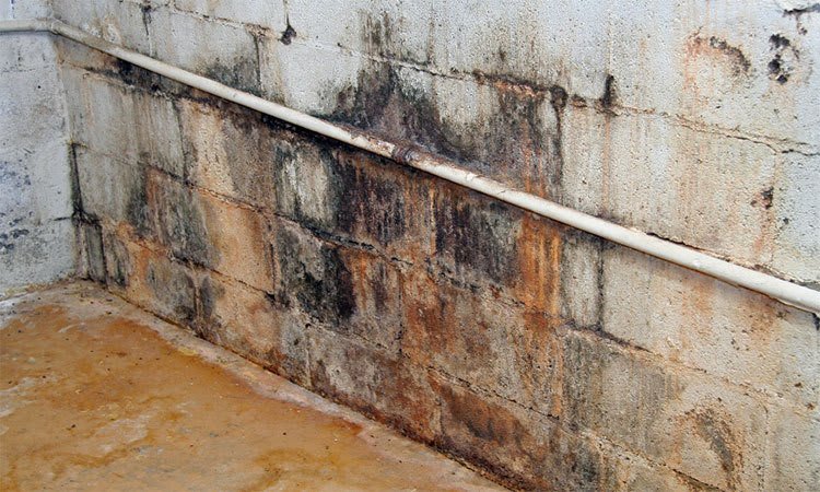Water Seepage And Basement Leaks, Cinder Block Basement Wall Leaking Water