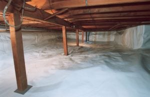 Basement Moisture