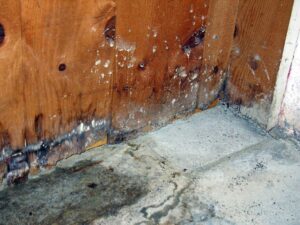 Triad Waterproofing Takes Care of Problematic Condensation