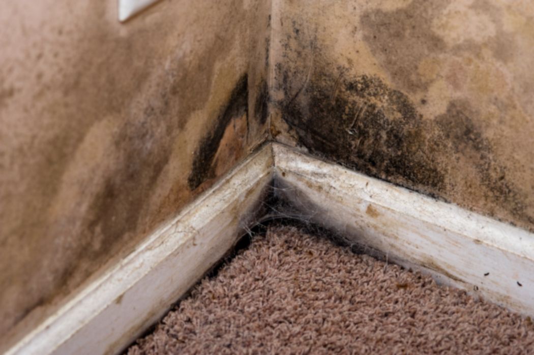6 Causes Of Basement Moisture And How, How To Treat Damp Basement Walls In Kitchen