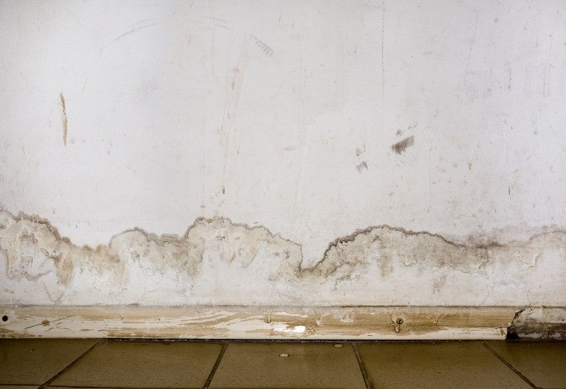 Foundation Cracks and Water Leakage on Walls Due to Floods
