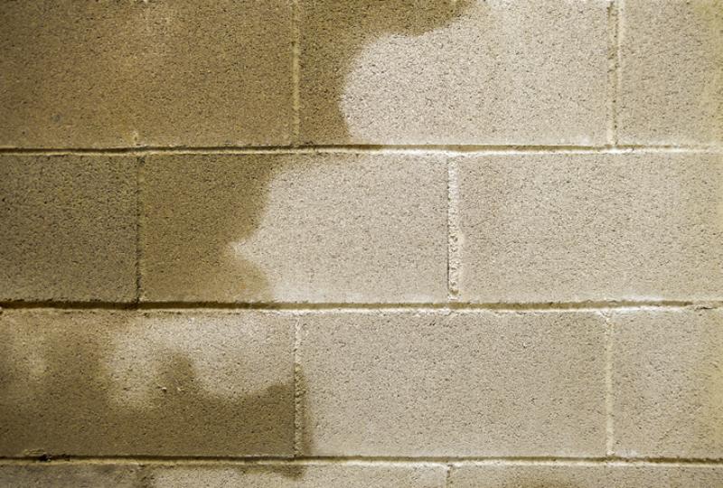 Musty wall of a basement in Gaithersburg, MD