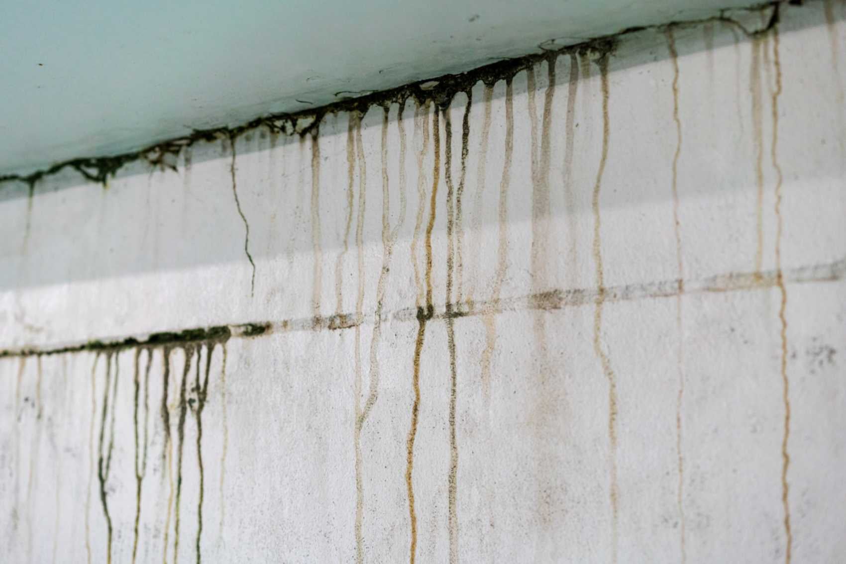 Damp basement wall with visible water trails in Gaithersburg, MD